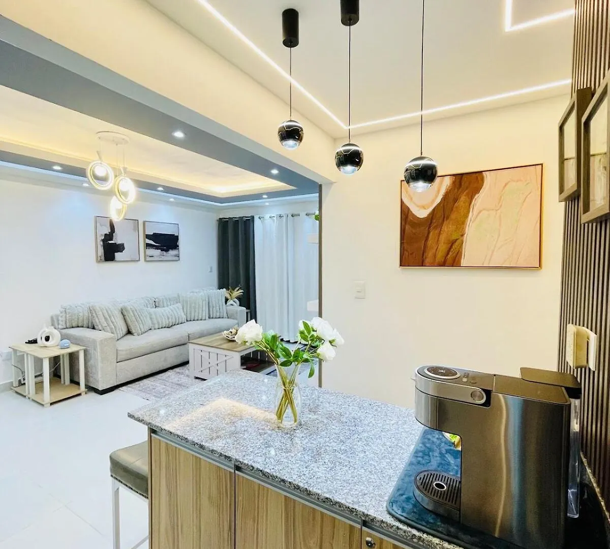 Delightful 3Br Apartment Near Downtown Πούντα Κάνα
